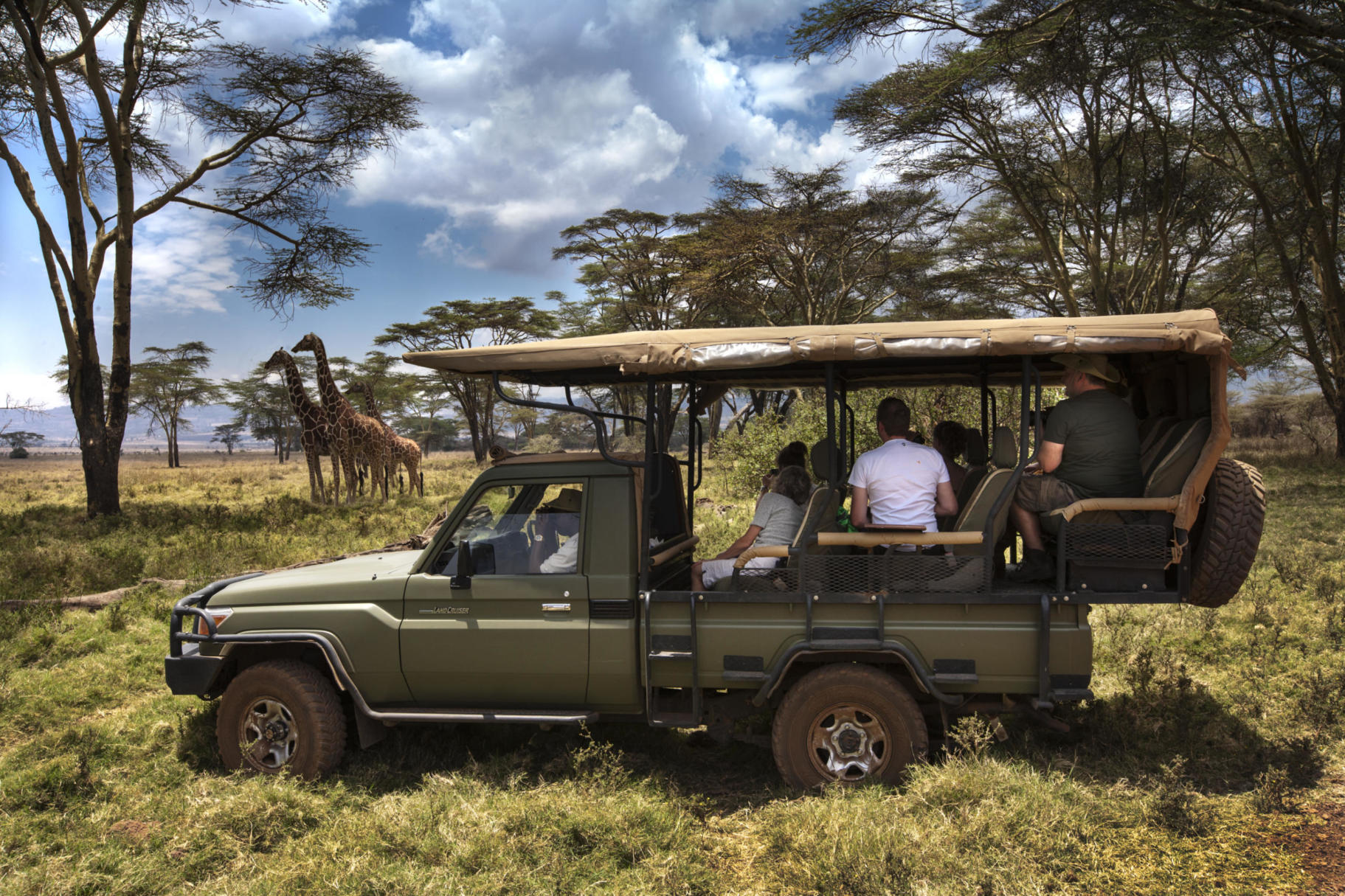 Lewa House guests watching Reticulated Giraffe