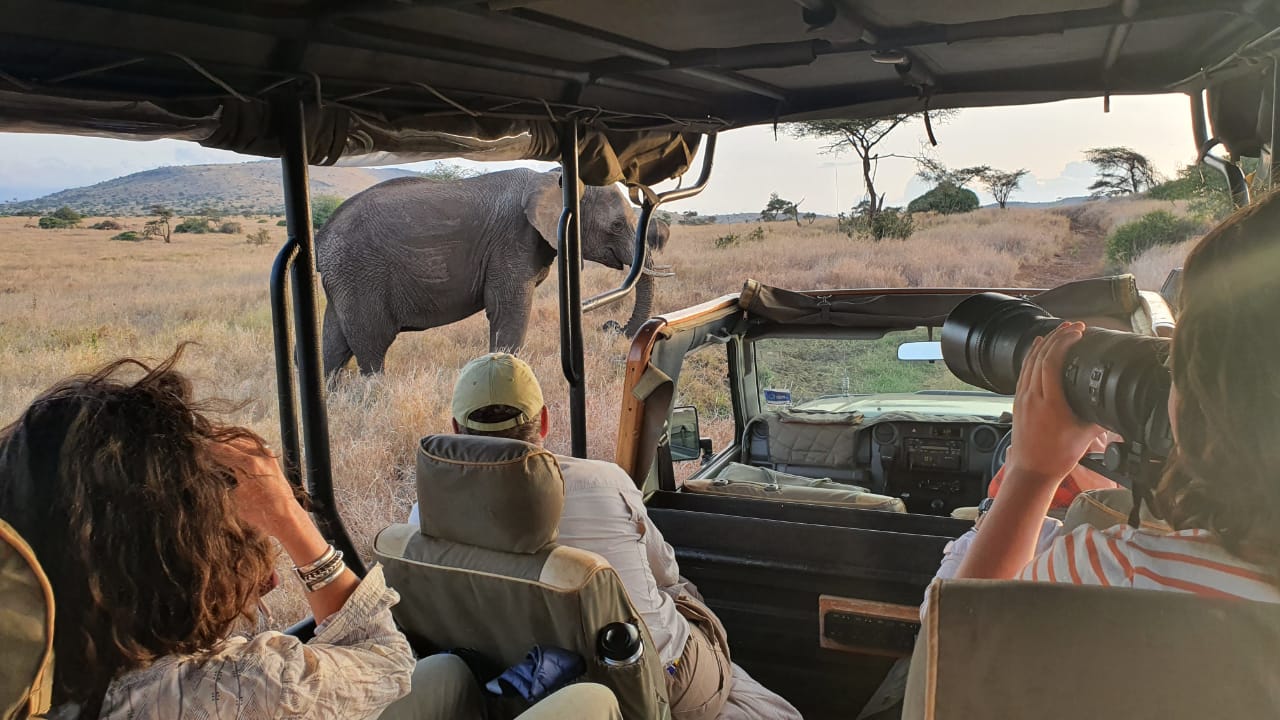 viewing wildlife from an open vehicle